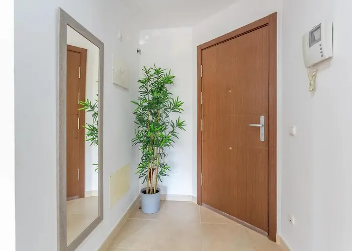 Ojos Del Océano Palm-mar