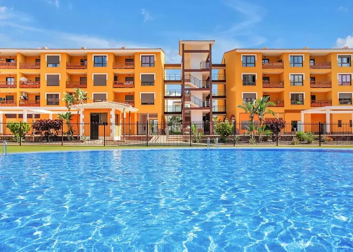 Ojos Del Océano Palm-mar