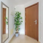 Ojos Del Oceano 팔름-마르